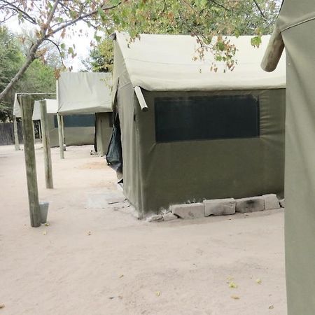 Motsebe Backpackers Hotel Maun Eksteriør billede