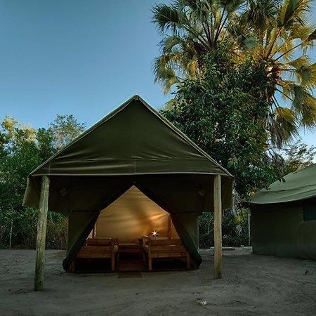 Motsebe Backpackers Hotel Maun Eksteriør billede
