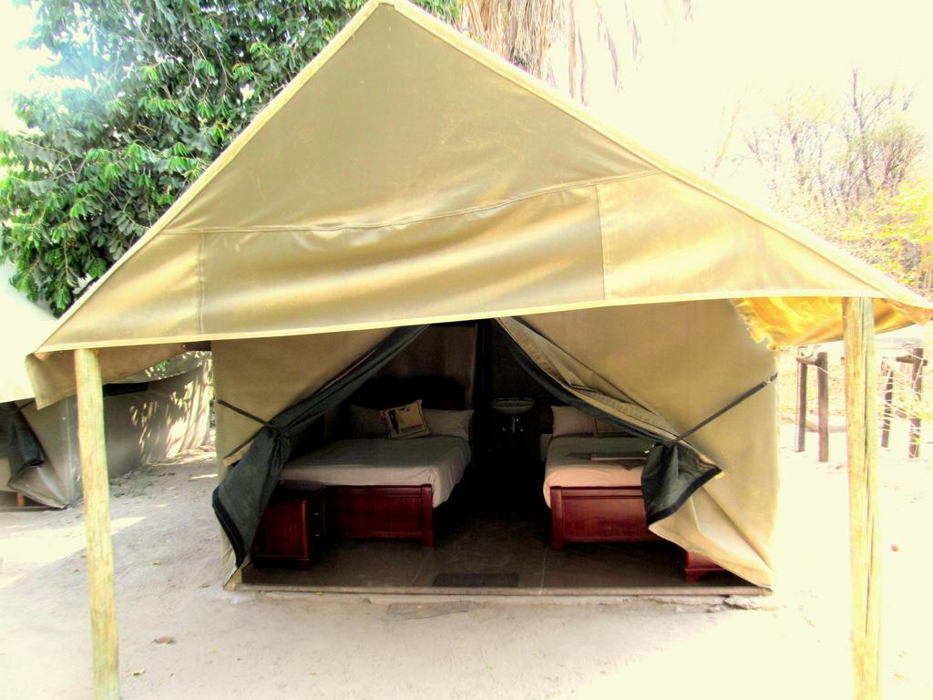 Motsebe Backpackers Hotel Maun Eksteriør billede