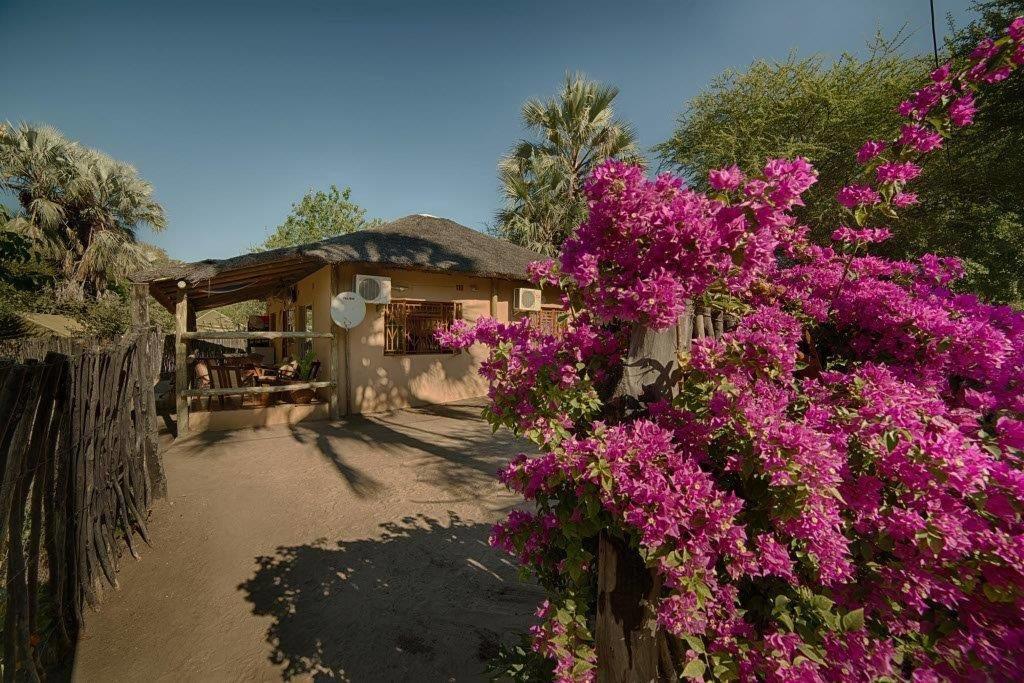 Motsebe Backpackers Hotel Maun Eksteriør billede