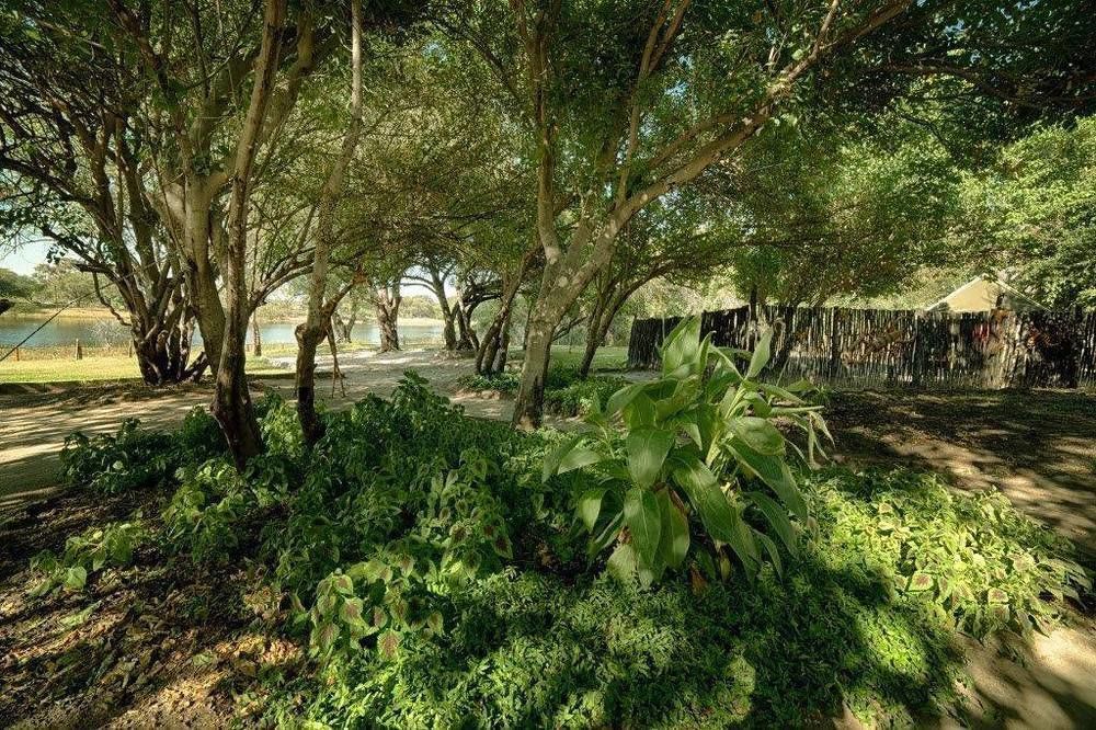 Motsebe Backpackers Hotel Maun Eksteriør billede