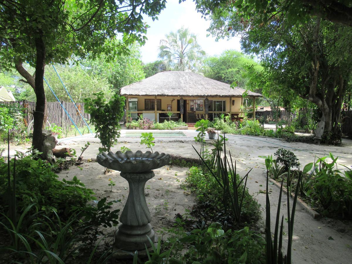 Motsebe Backpackers Hotel Maun Eksteriør billede