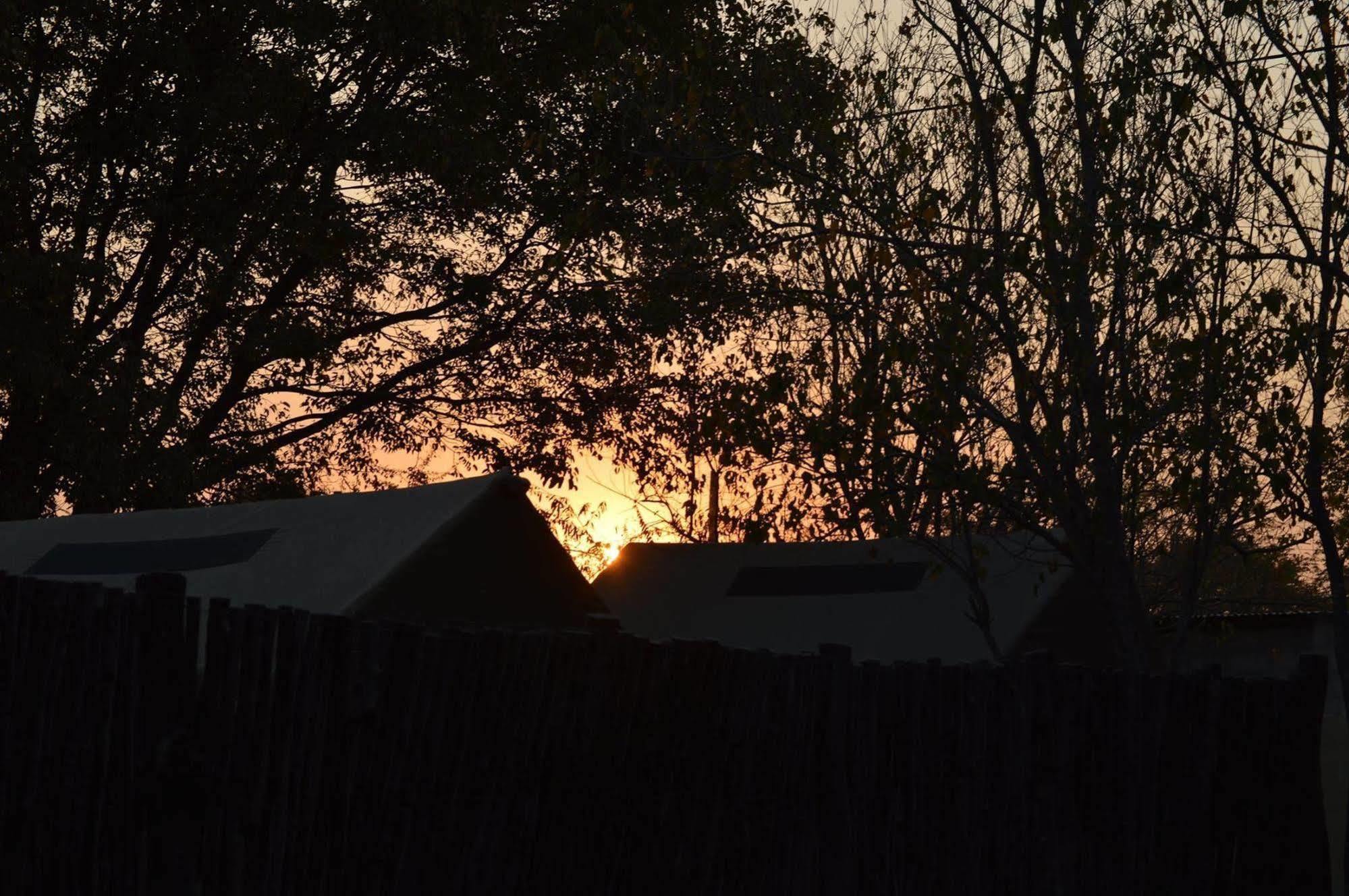 Motsebe Backpackers Hotel Maun Eksteriør billede