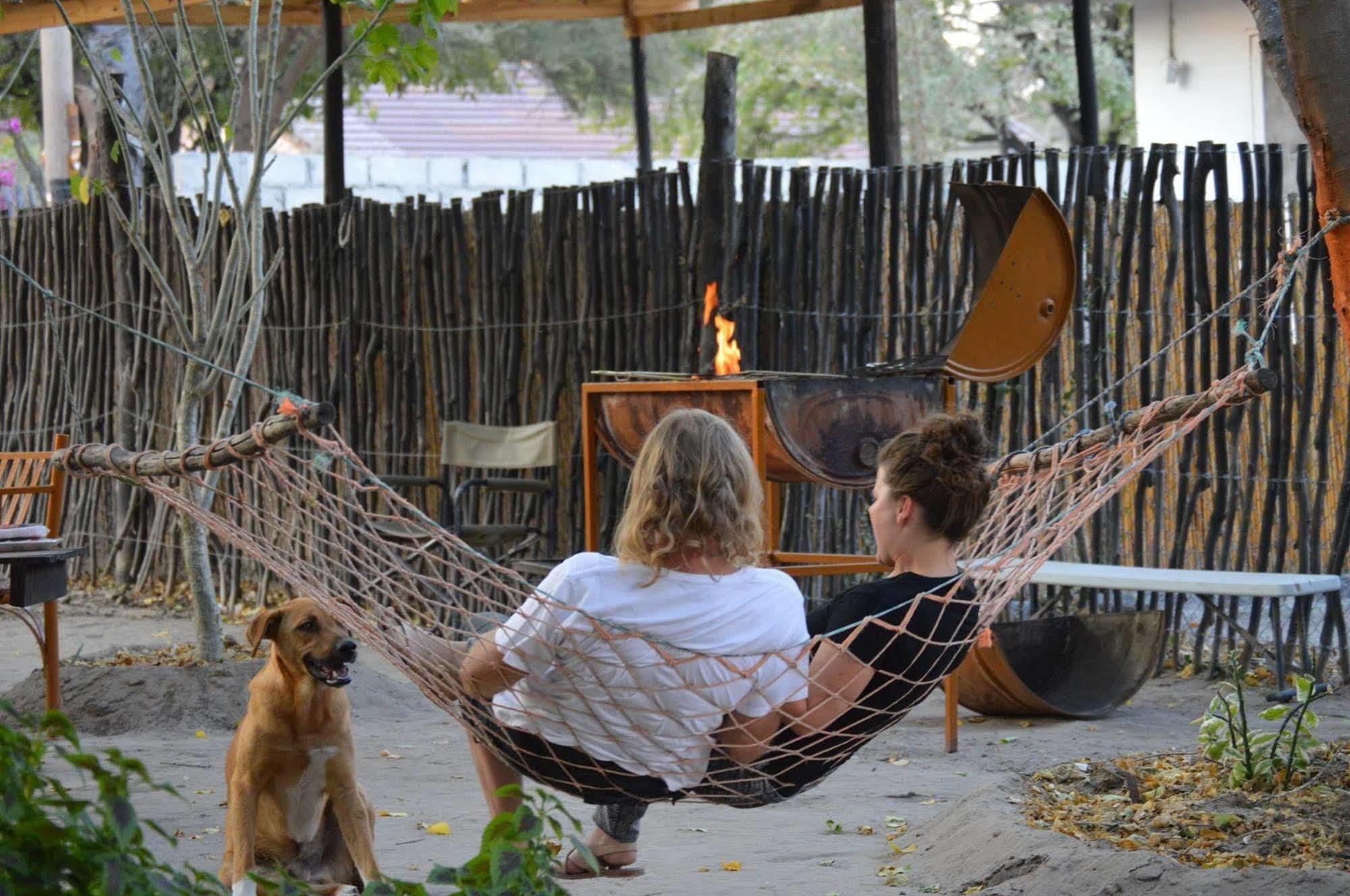 Motsebe Backpackers Hotel Maun Eksteriør billede
