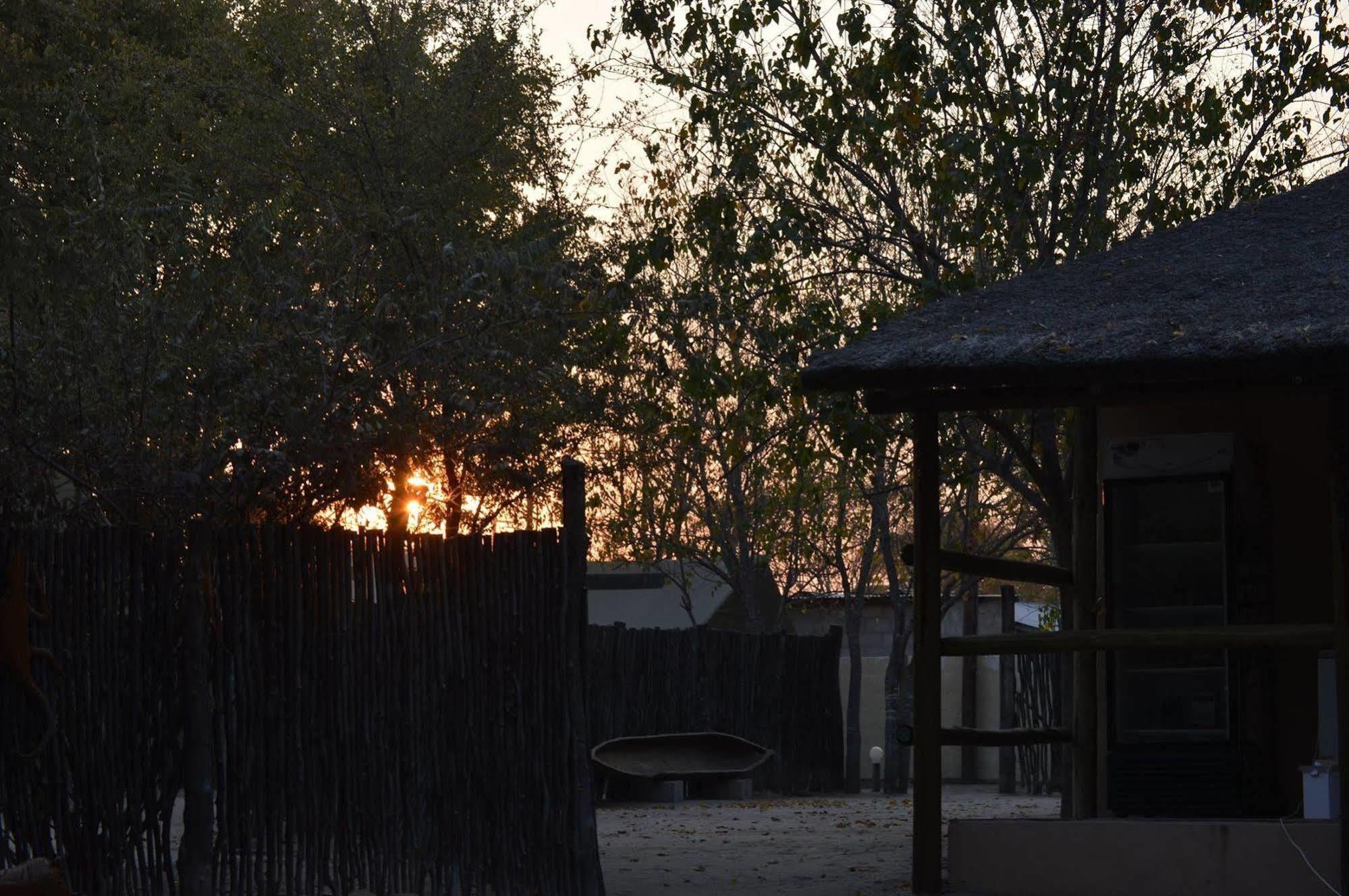 Motsebe Backpackers Hotel Maun Eksteriør billede