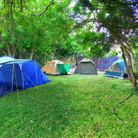 Motsebe Backpackers Hotel Maun Eksteriør billede