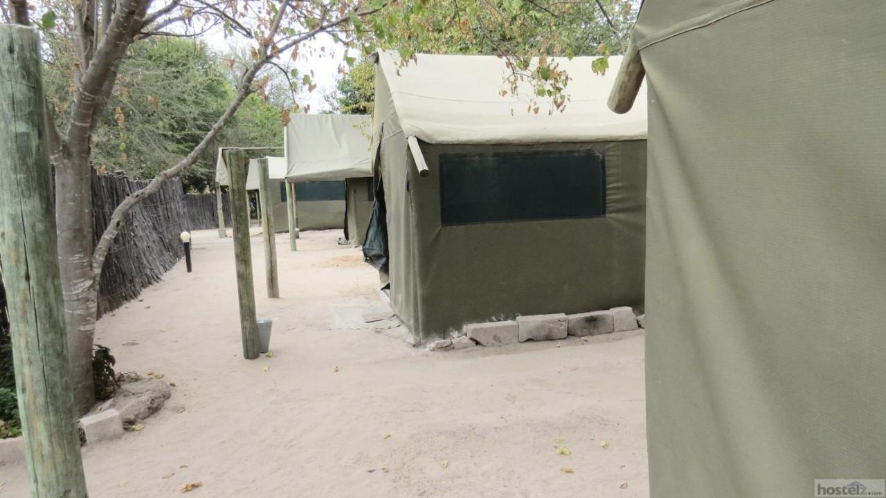 Motsebe Backpackers Hotel Maun Eksteriør billede