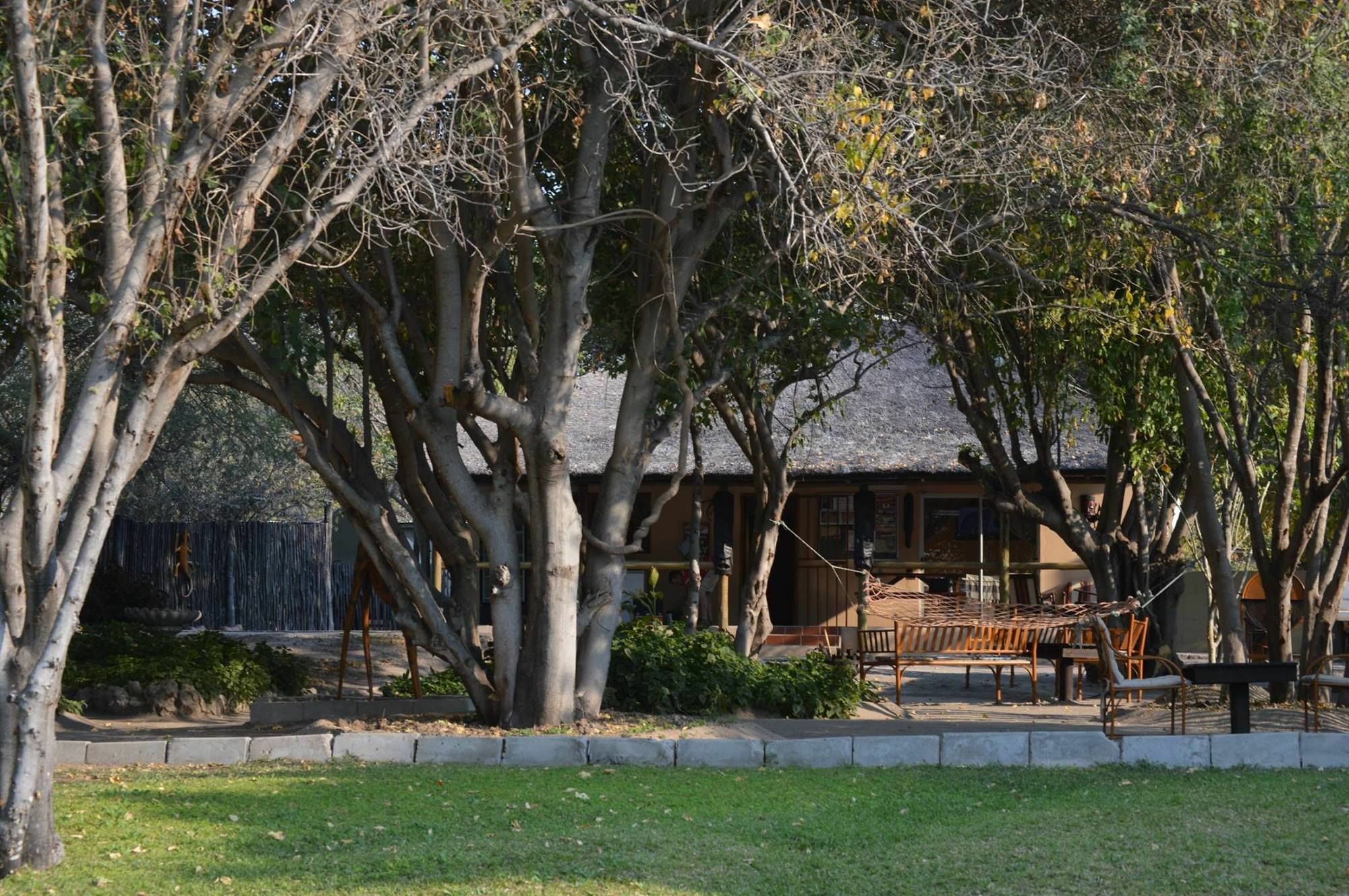 Motsebe Backpackers Hotel Maun Eksteriør billede