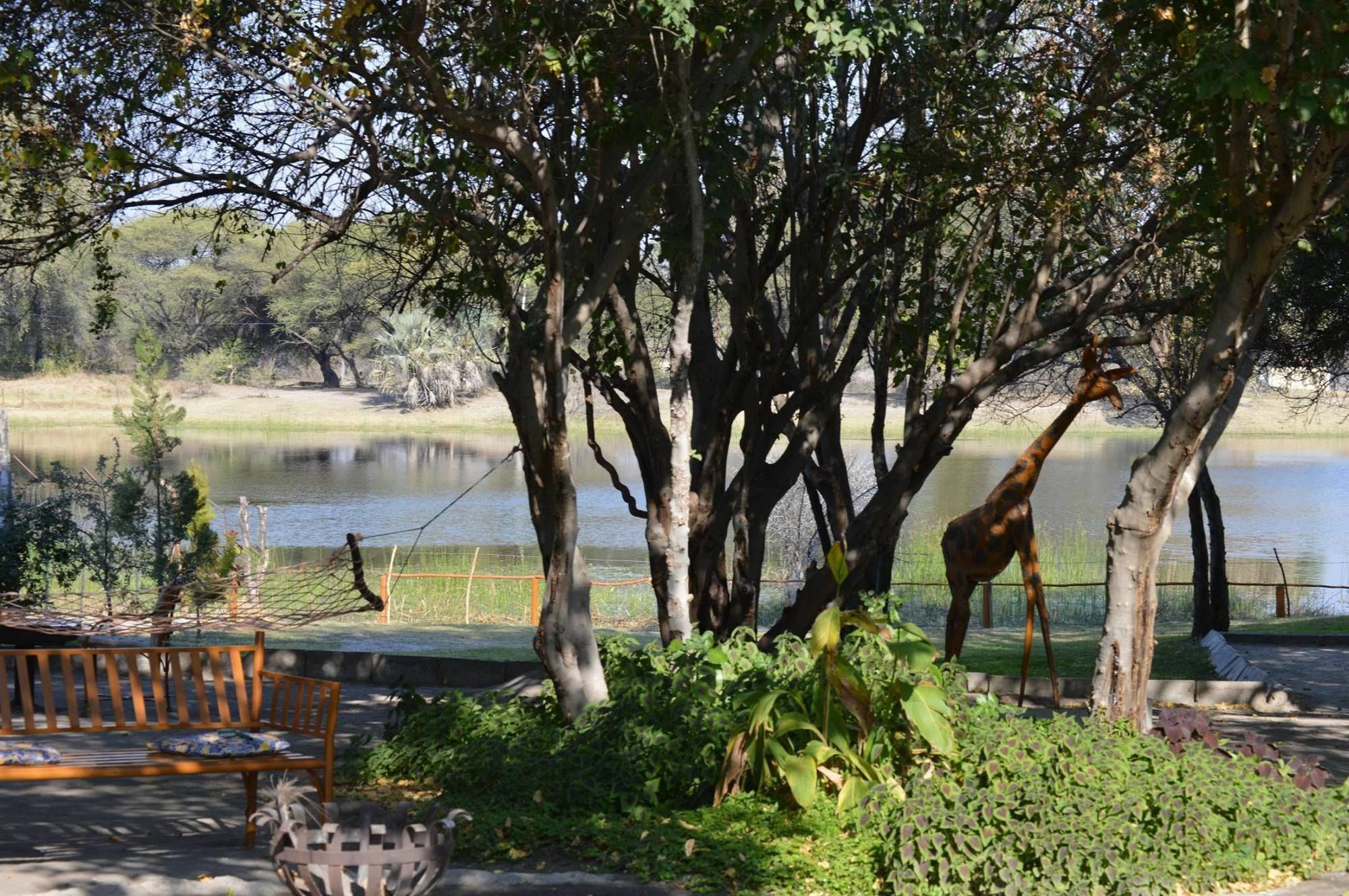 Motsebe Backpackers Hotel Maun Eksteriør billede